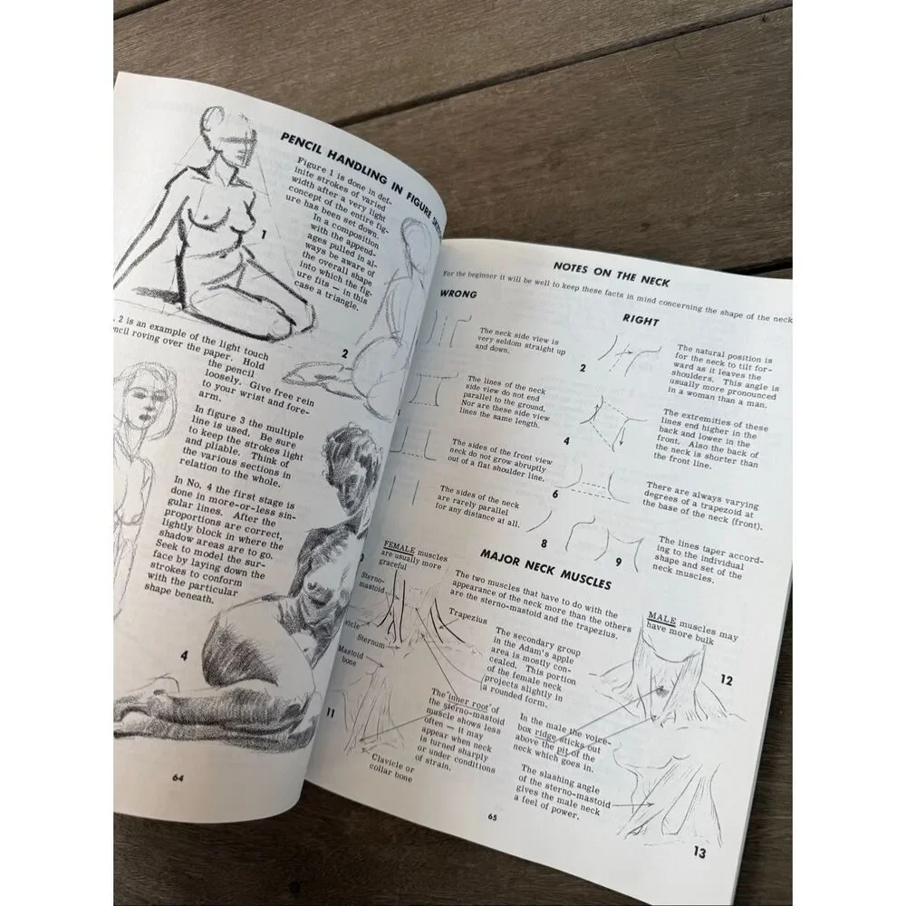Jack Hamm Drawing the Head and Figure (Paperback)